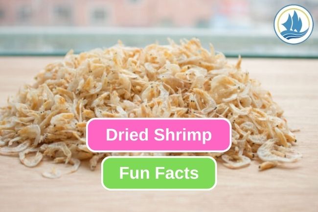Exploring 9 Dried Shrimp Fun Facts